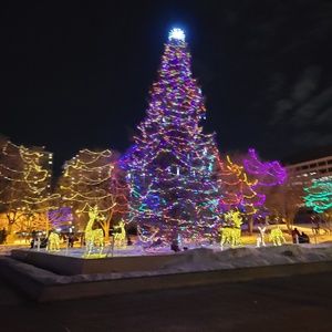 Meet your Posher, Francesca